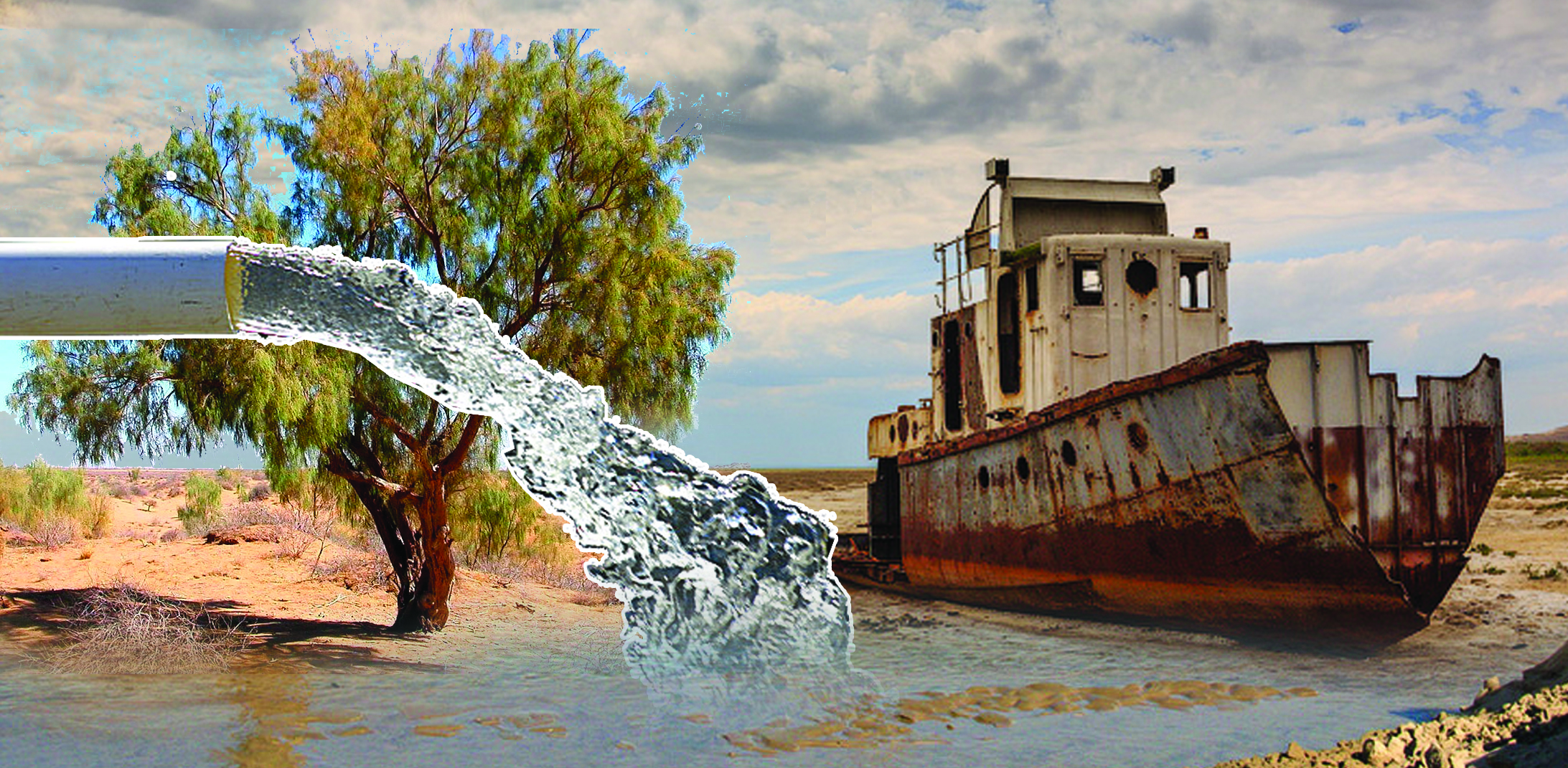 كىشى ارالدىڭ قامى