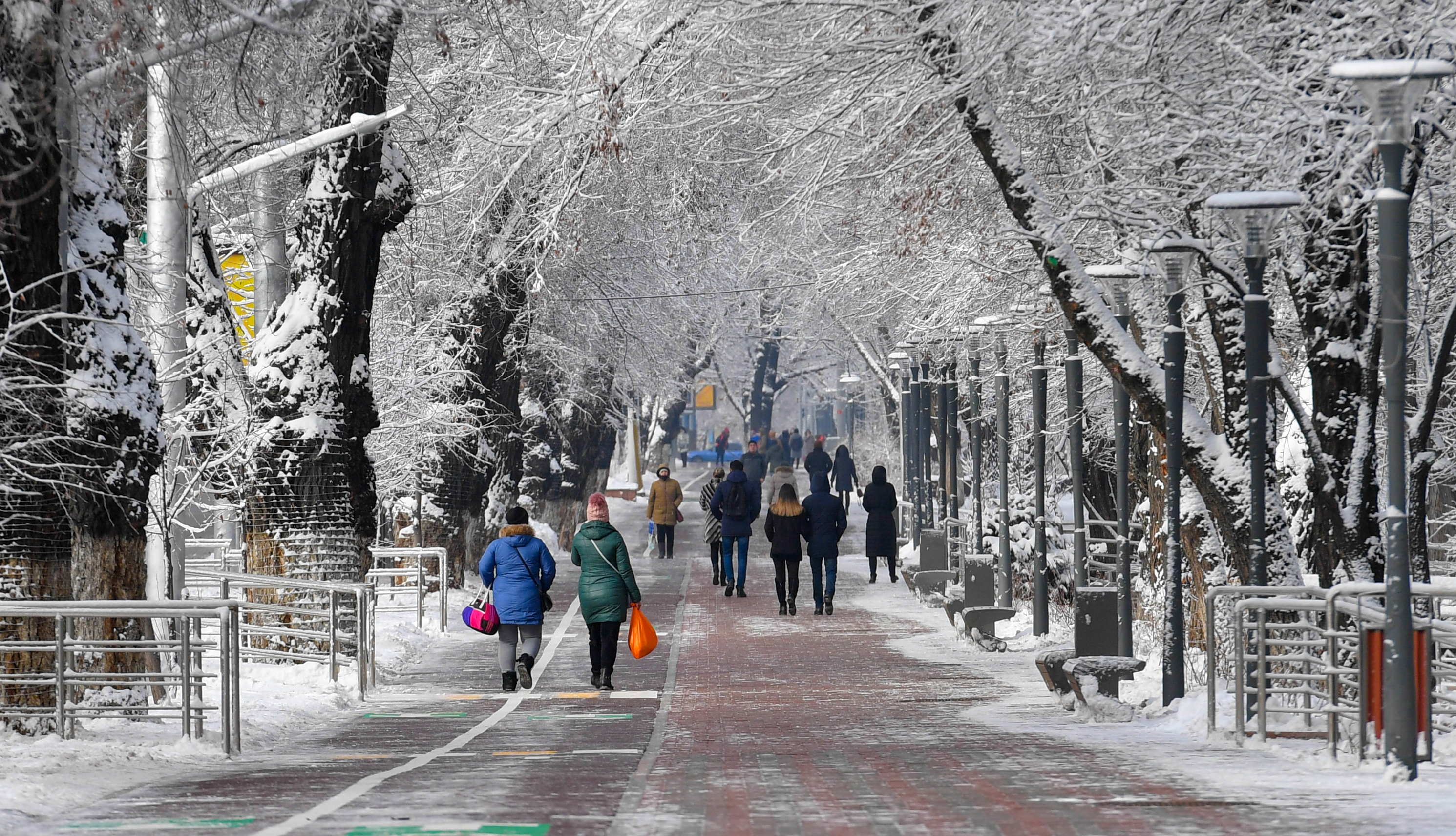 قوعام دامۋىنىڭ ىرگەتاسى