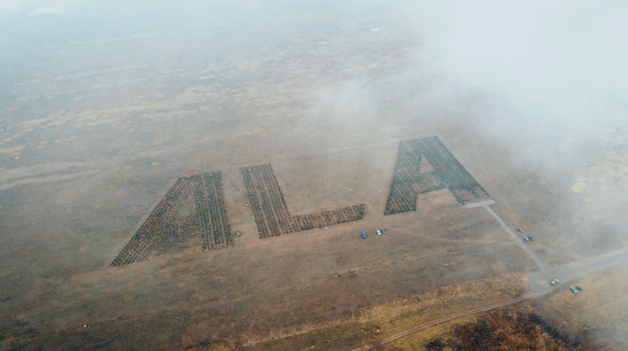 «ALA» باعى گيننەستىڭ رەكوردتار كىتابىنا ەنە مە؟