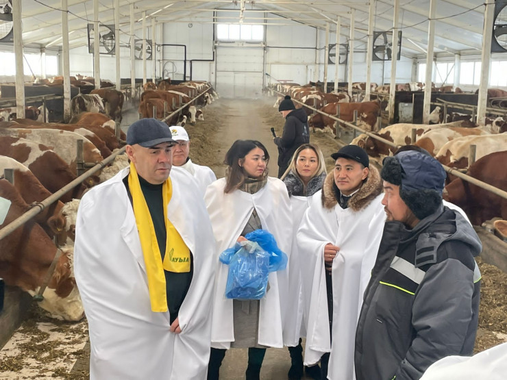 اگروسالا – ەكونوميكا درايۆەرى