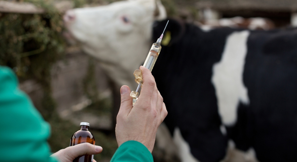 رەسپۋبليكالىق كاسىبي دودا