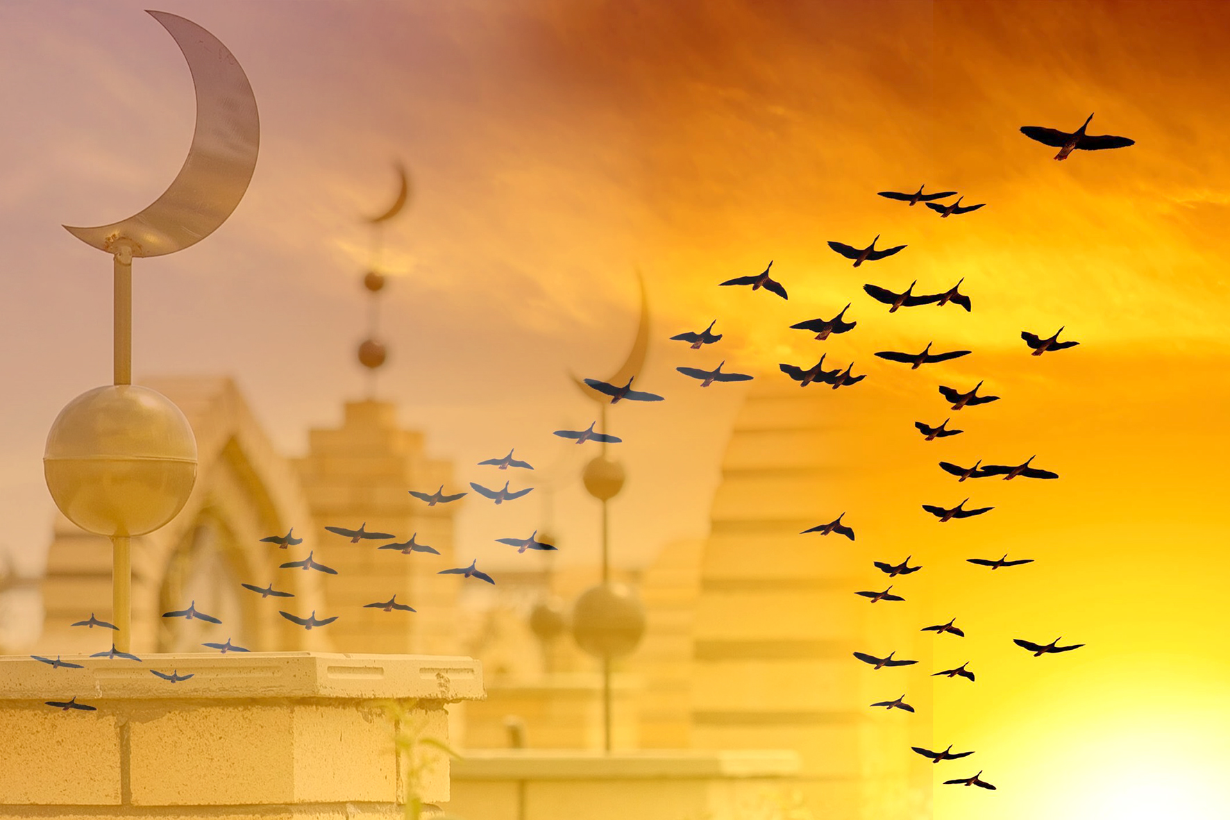 «كوز قىرىڭدى سالىپ قوي قورىمدارعا...»