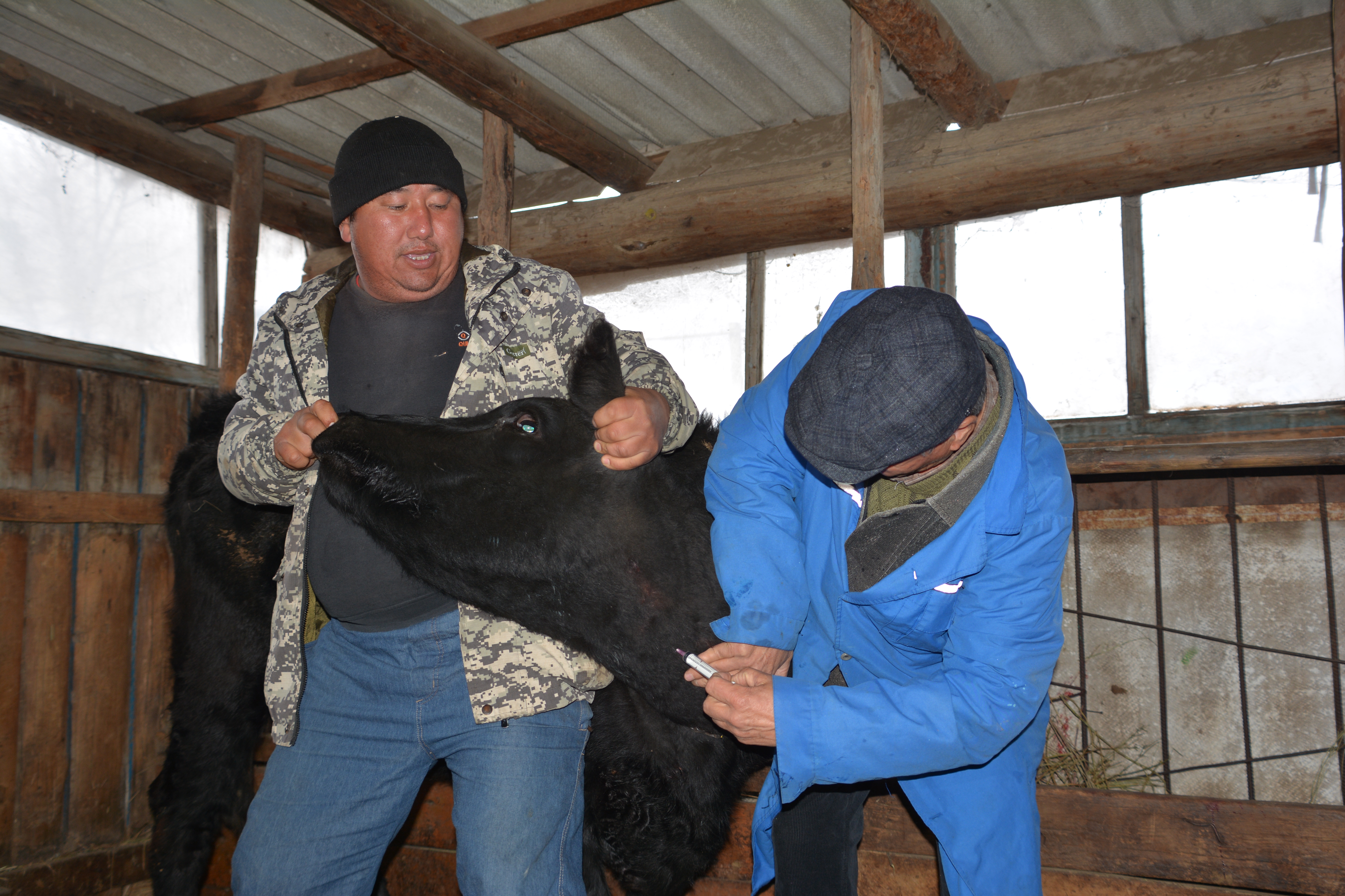 مال دارىگەرلەرىنە مارتەبە كەرەك