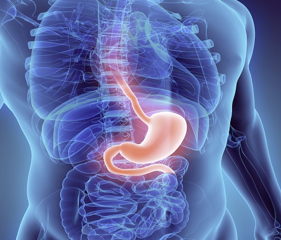 اسقازانىنان «باتارەيا» شىقتى