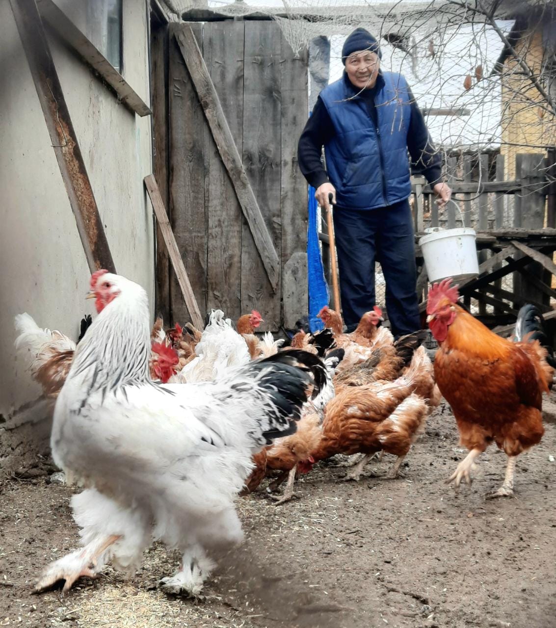 تاۋىقتان تابىس تاۋىپ وتىر