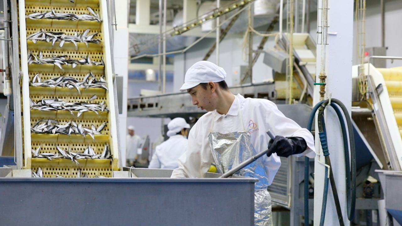 «كۋبلەي» زاۋىتىنا قاتىستى داۋ جالعاسىن تاپتى