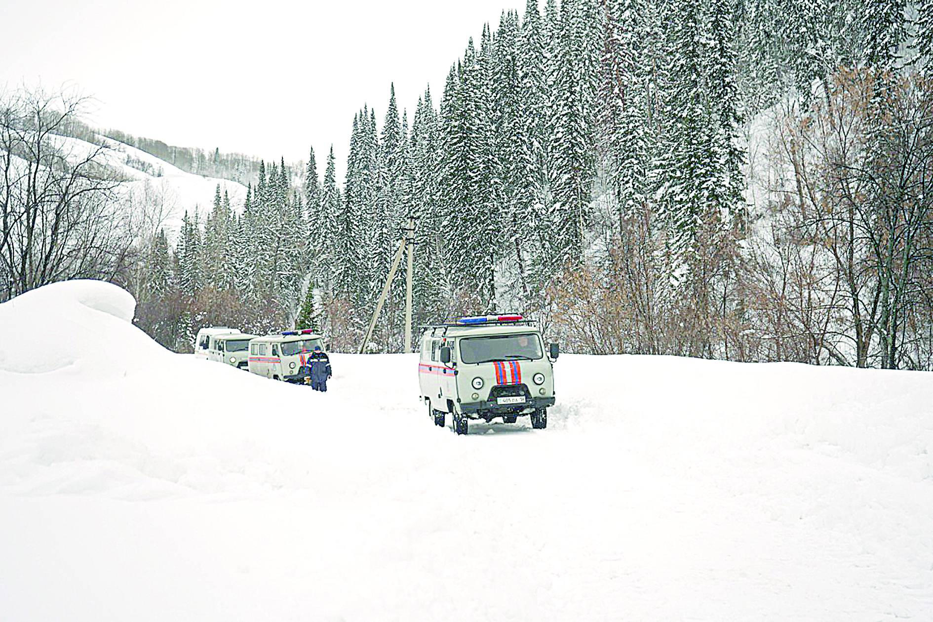 ات قۇلاعى كورىنبەس اقتۇتەك