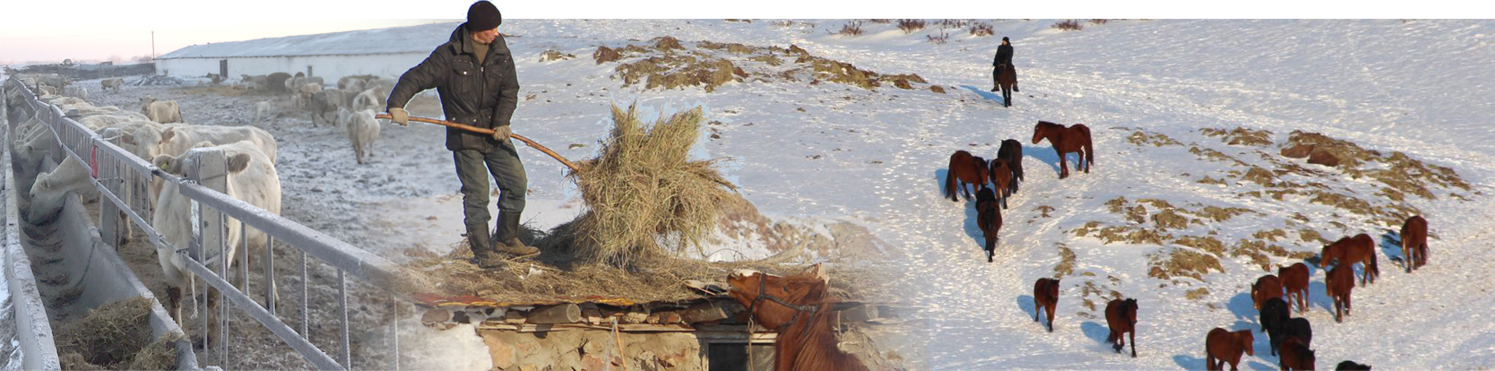 اۋىل اتاكاسىپسىز كوركەيمەيدى