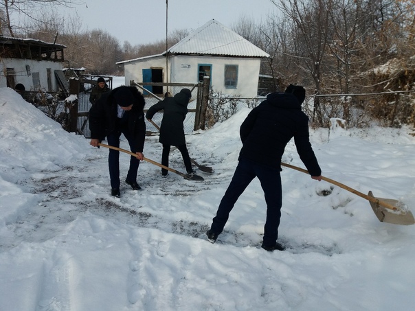 مۇقتاج جاندارعا قولۇشىن سوزادى