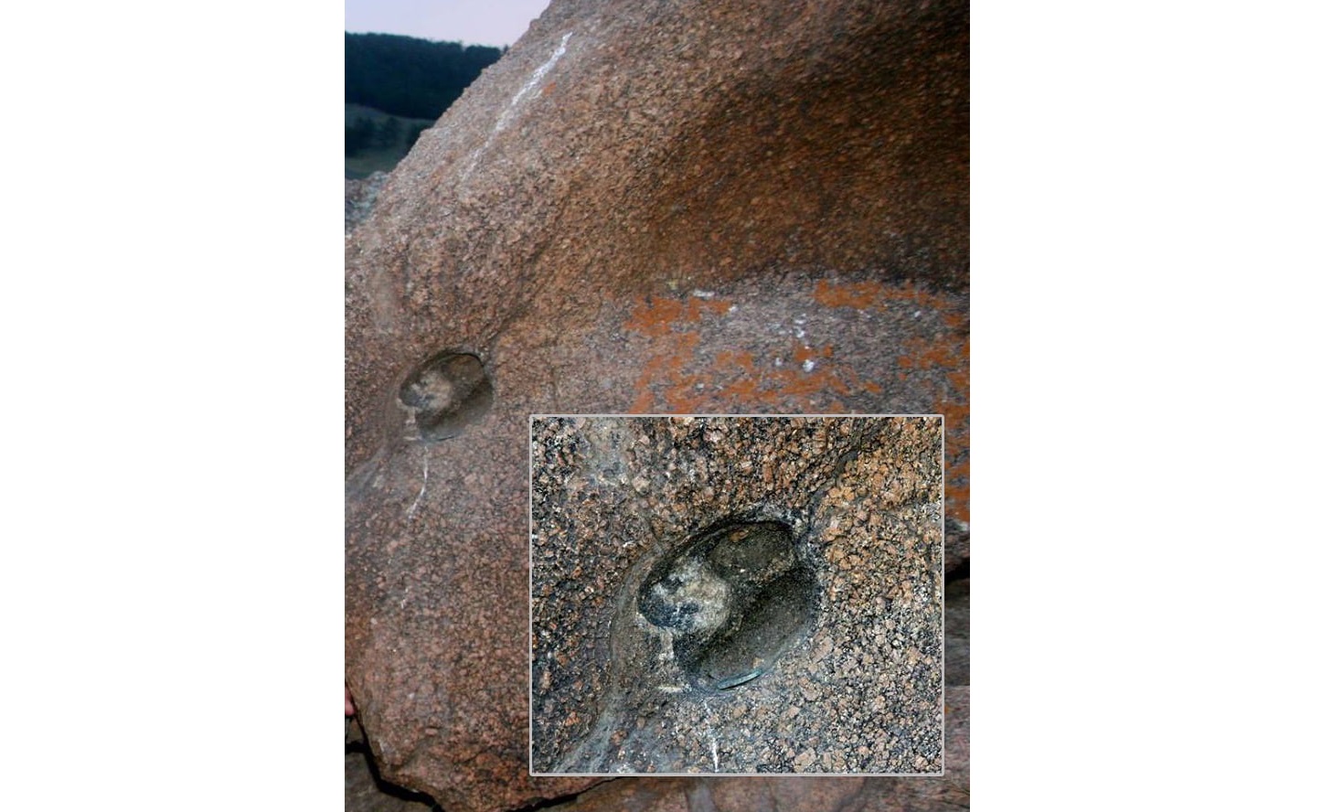 تاستاعى تۇياق ءىزى