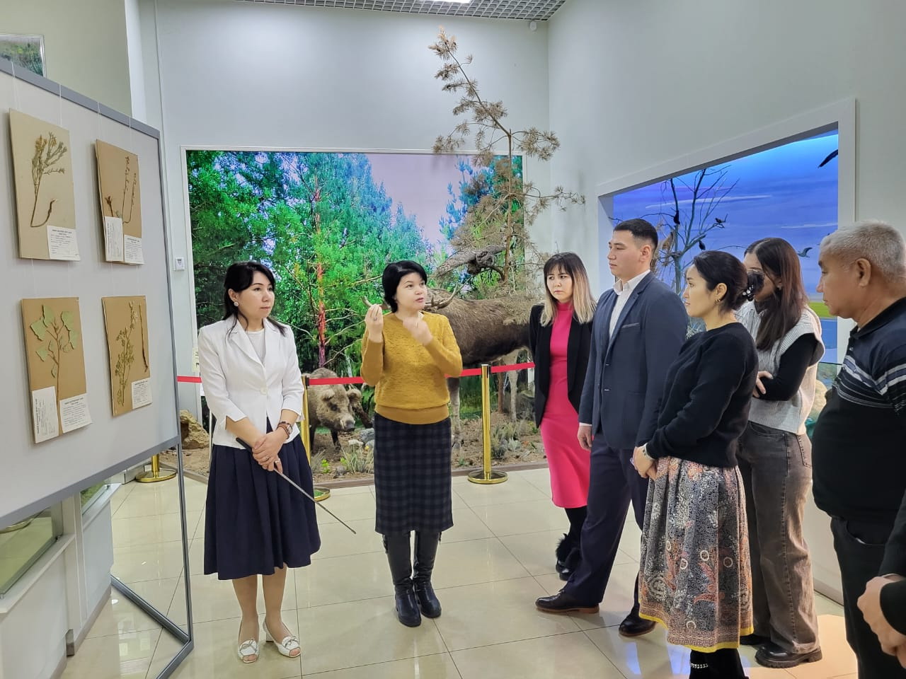 كەپپەشوپ كورمەسى