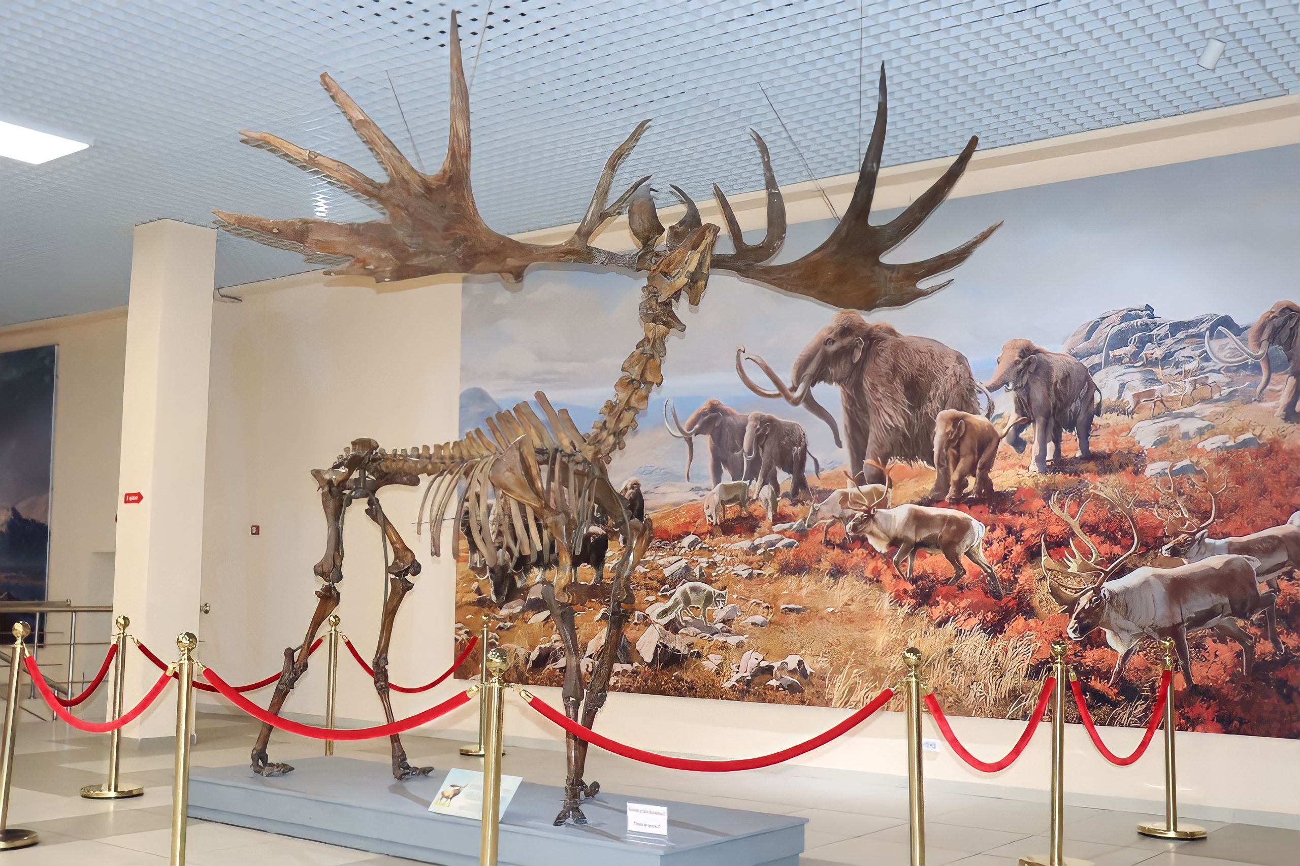 زىلگە پارا-پار