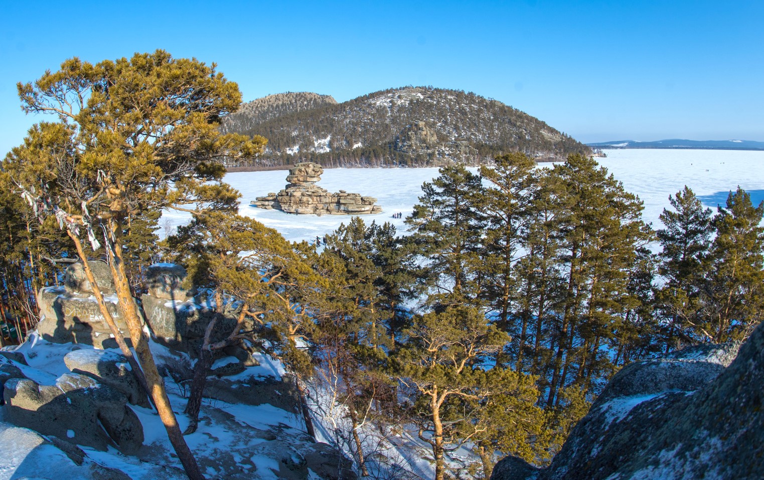 كوكشە كولدەرىنىڭ كەلەشەگى بار ما؟