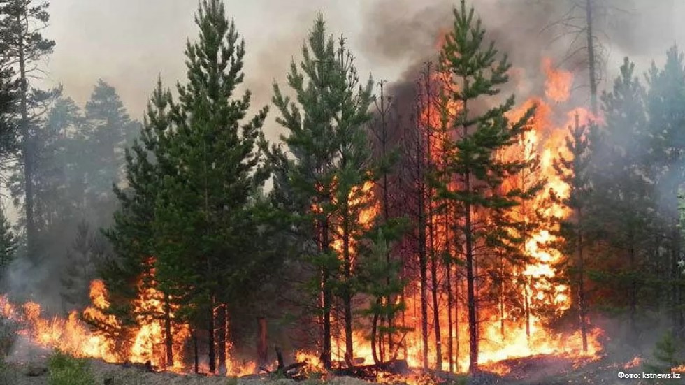 الاپات ءورت تراكتوردان تۇتانعان