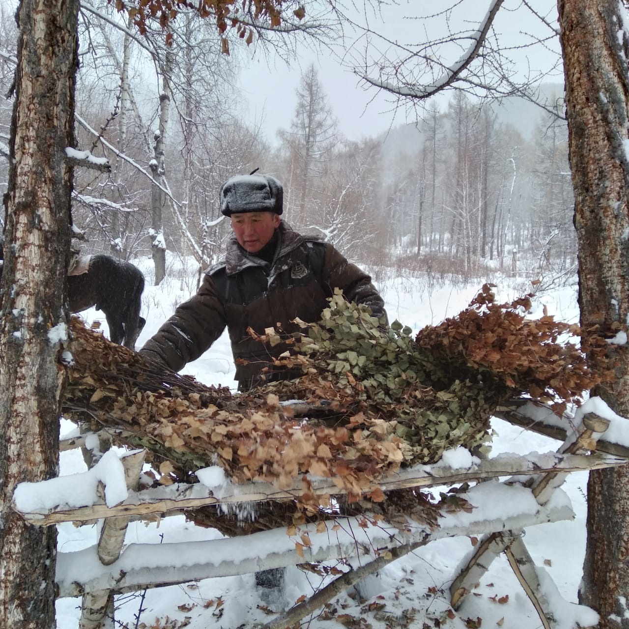 اڭ-قۇستاردى قولدان قورەكتەندىرەدى