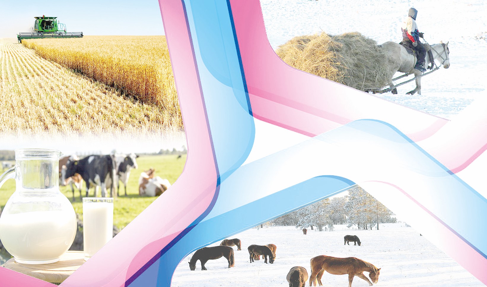 مالدىڭ قامى – جاننىڭ قامى