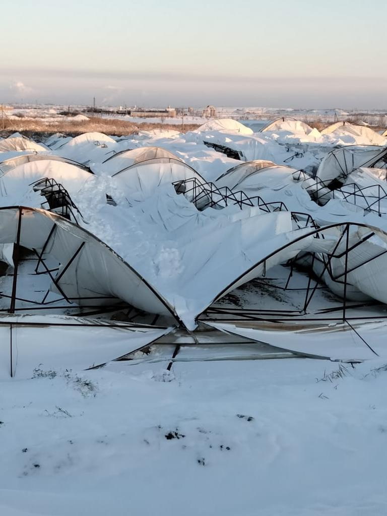 جىلىجايداعى سۋىق جاي