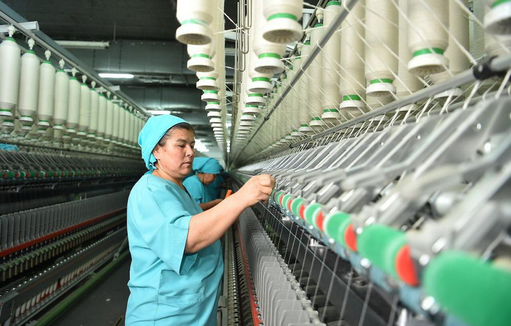 توقىما ونەركاسىبىن دامىتۋ جولى