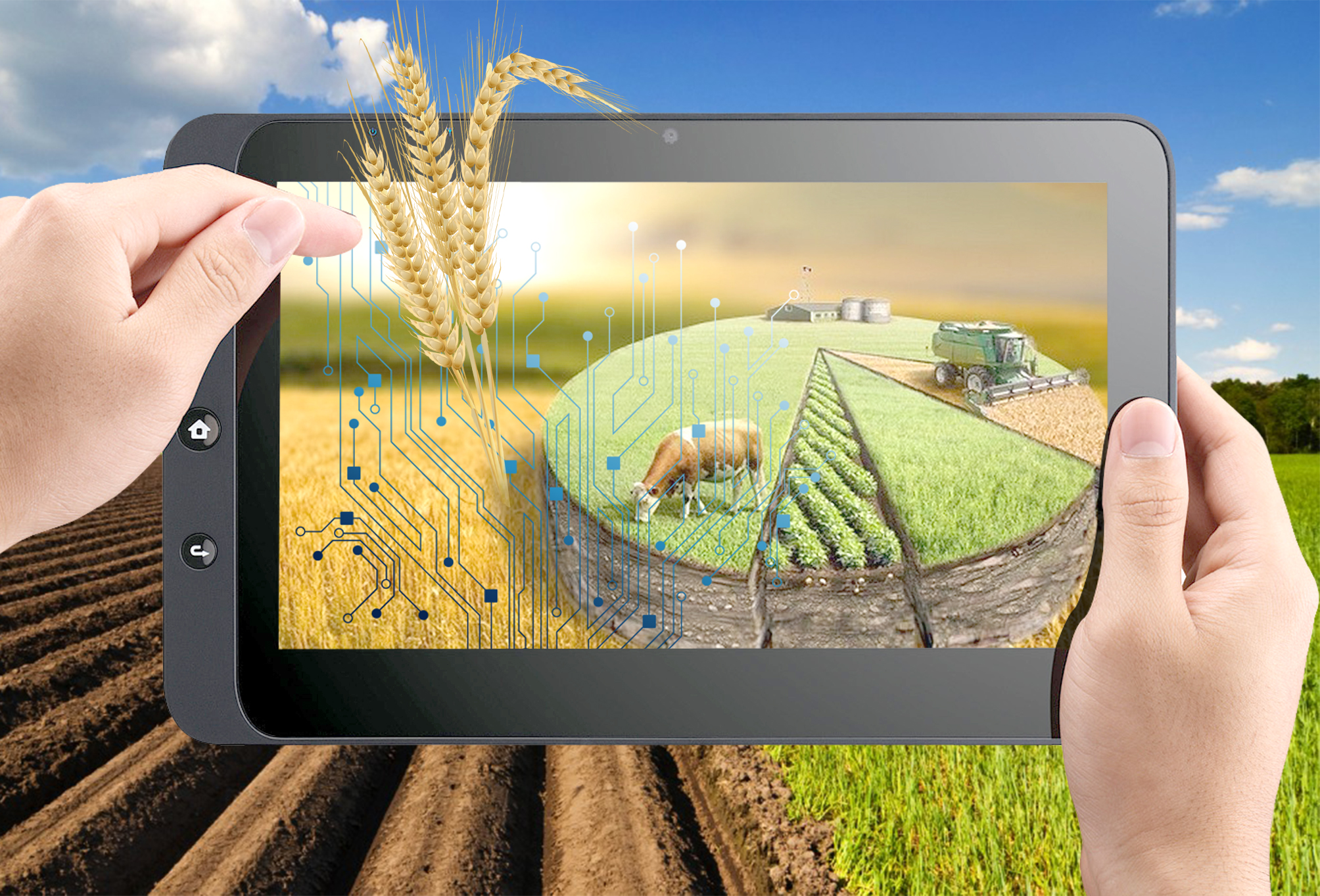 جەردى كوكتەن تەكسەرەمىز