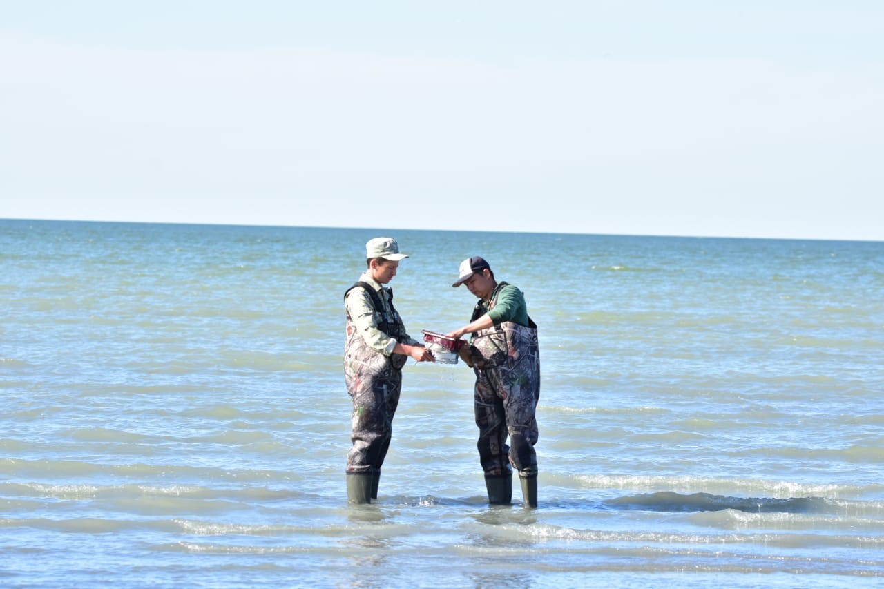 شالقار كولىنەن تابىلعان جاندىك