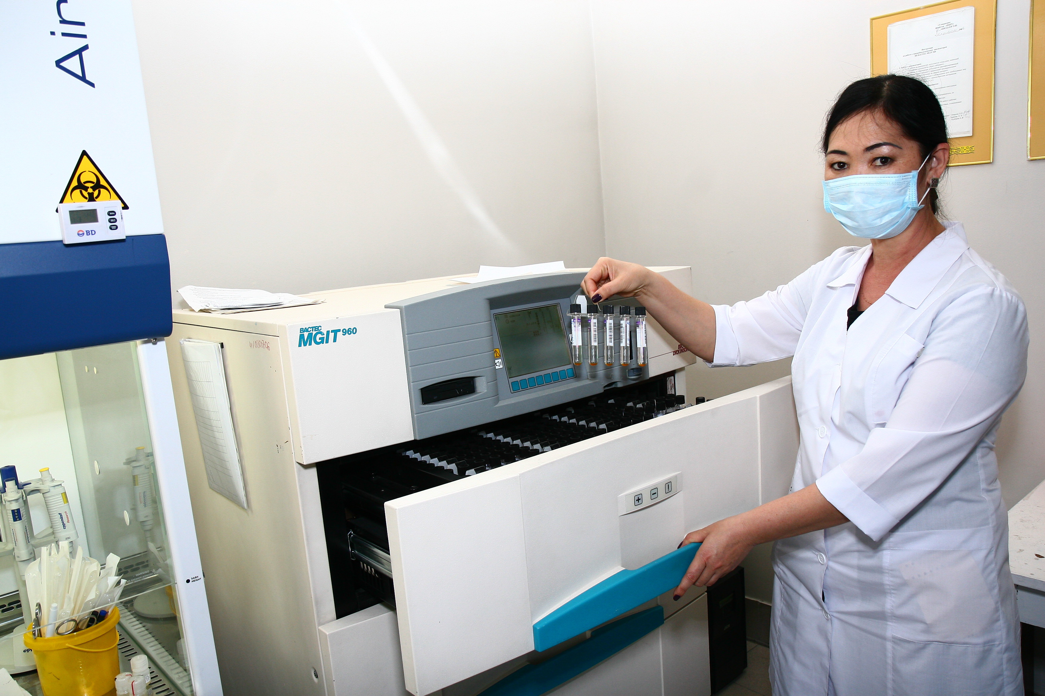 تەرىسكەيدە دارىگەر جەتىسپەيدى