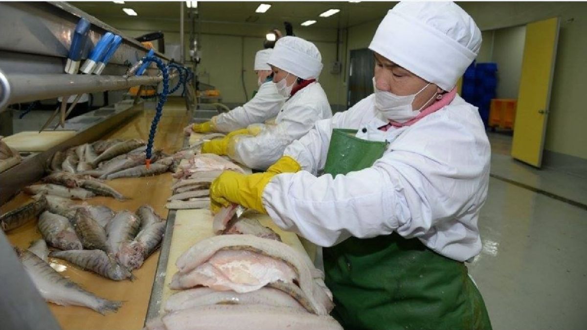 بالىق شارۋاشىلىعىنىڭ بارى مەن جوعى