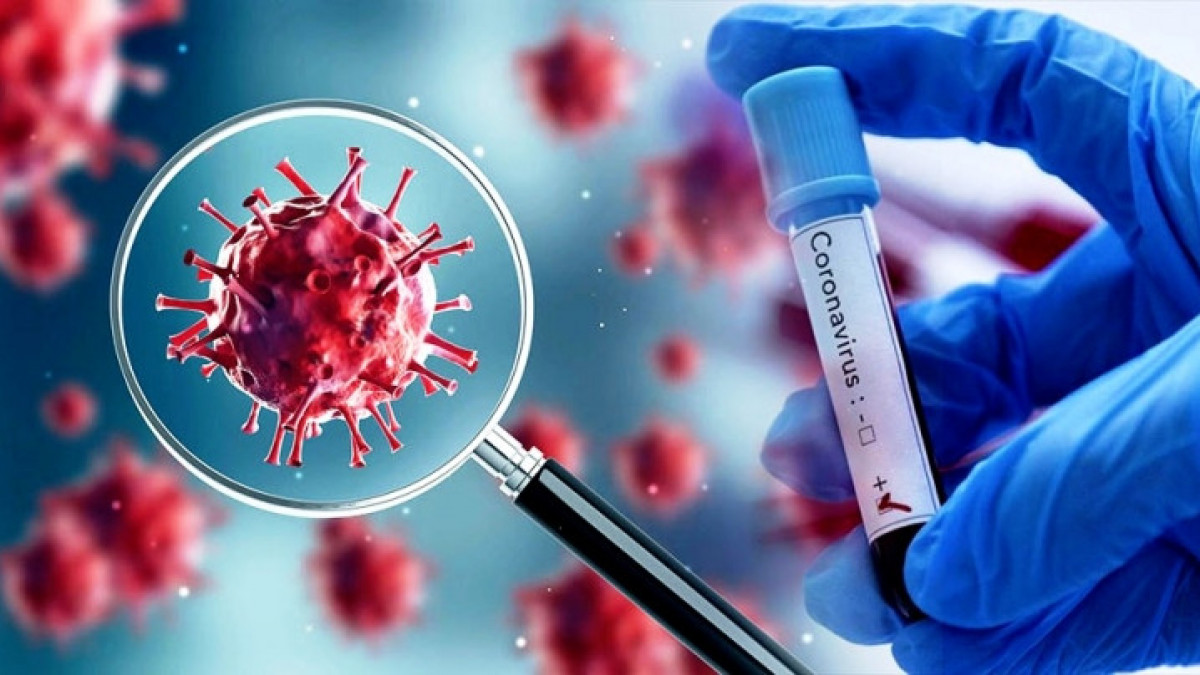 تۇماۋ باسەڭدەدى