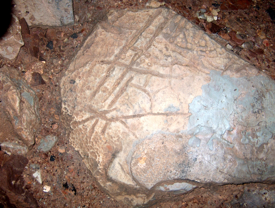 بوتامويناقتاعى بەيمالىم تاڭبا