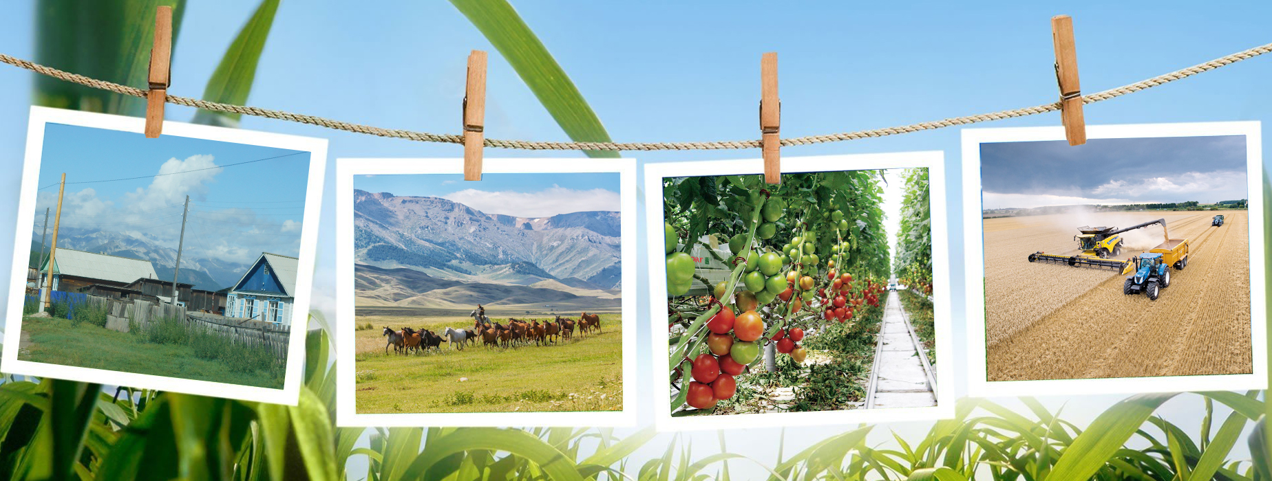 ەلدىكتىڭ قاينار كوزى – اۋىل كلاستەرىن دامىتۋ