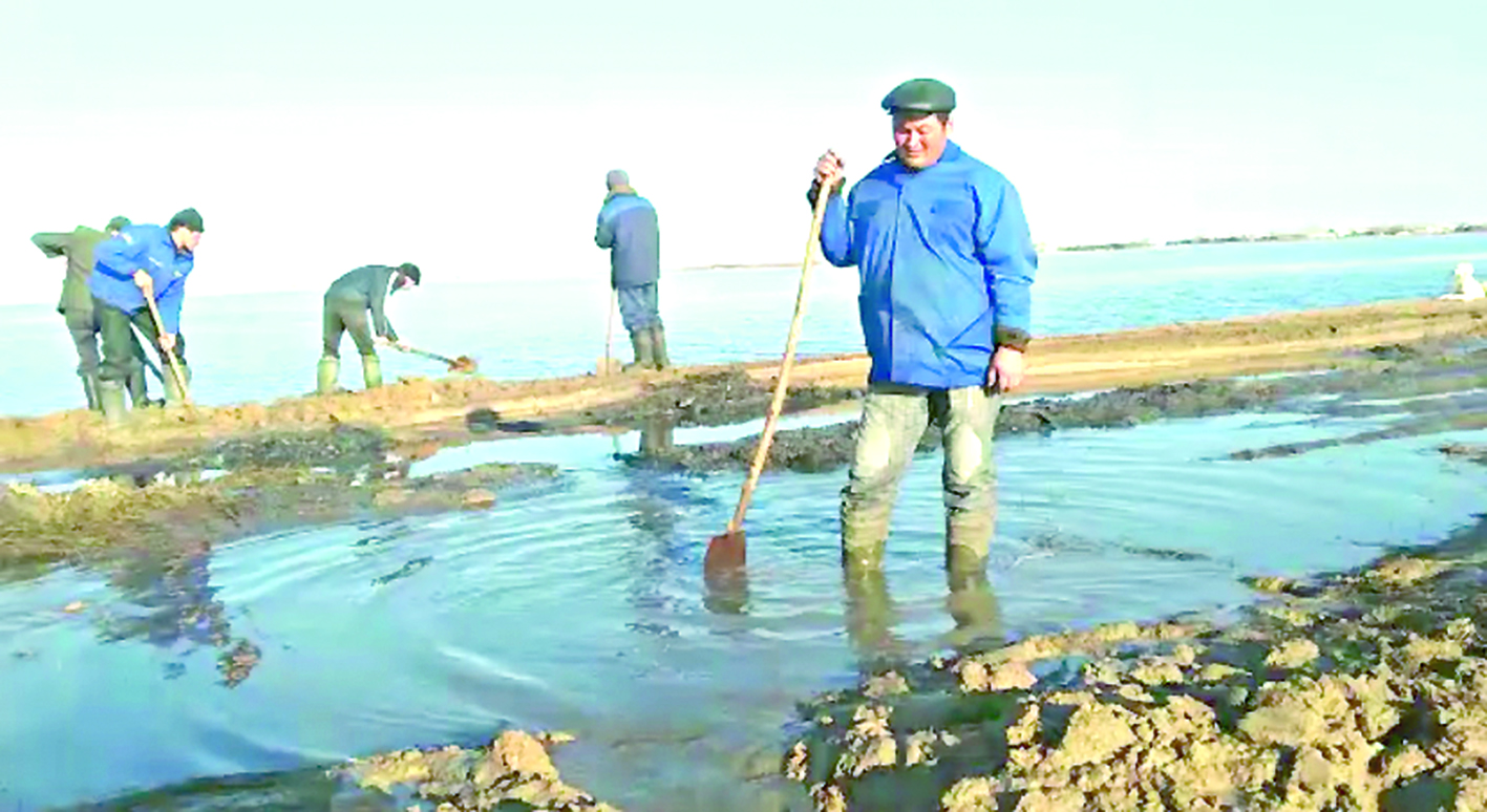 سۋ باسۋدىڭ قاۋىپ-قاتەرى