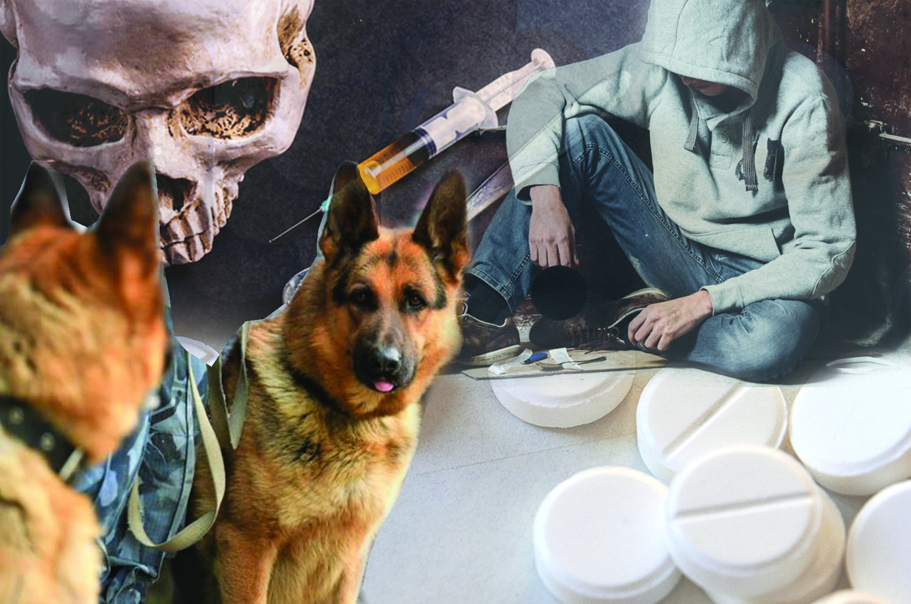 الەۋمەتتىك كەسەل ءال بەرمەي تۇر