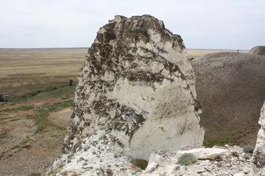 دالا ديدارى