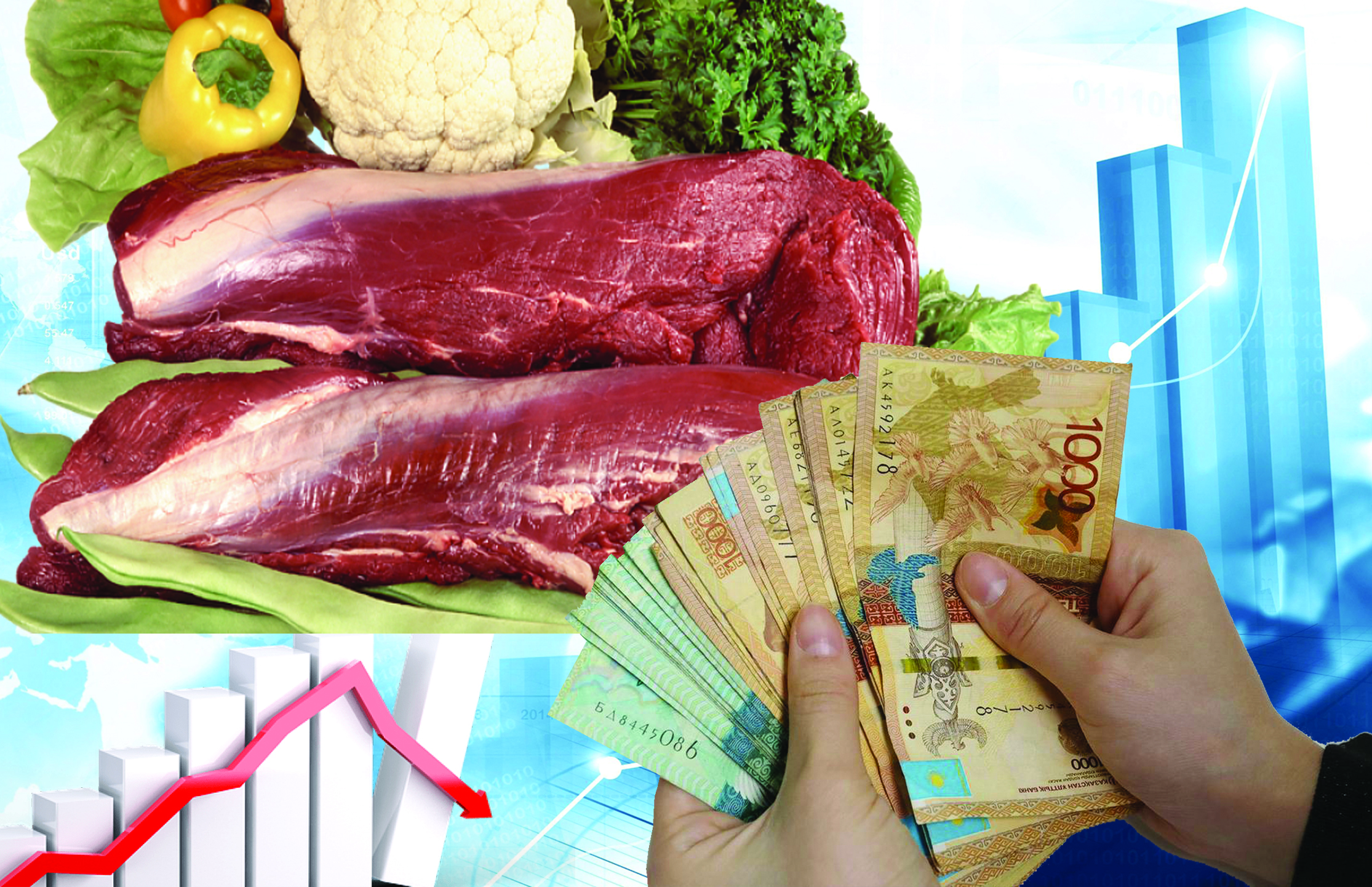 سۋبسيديا سالقىنى