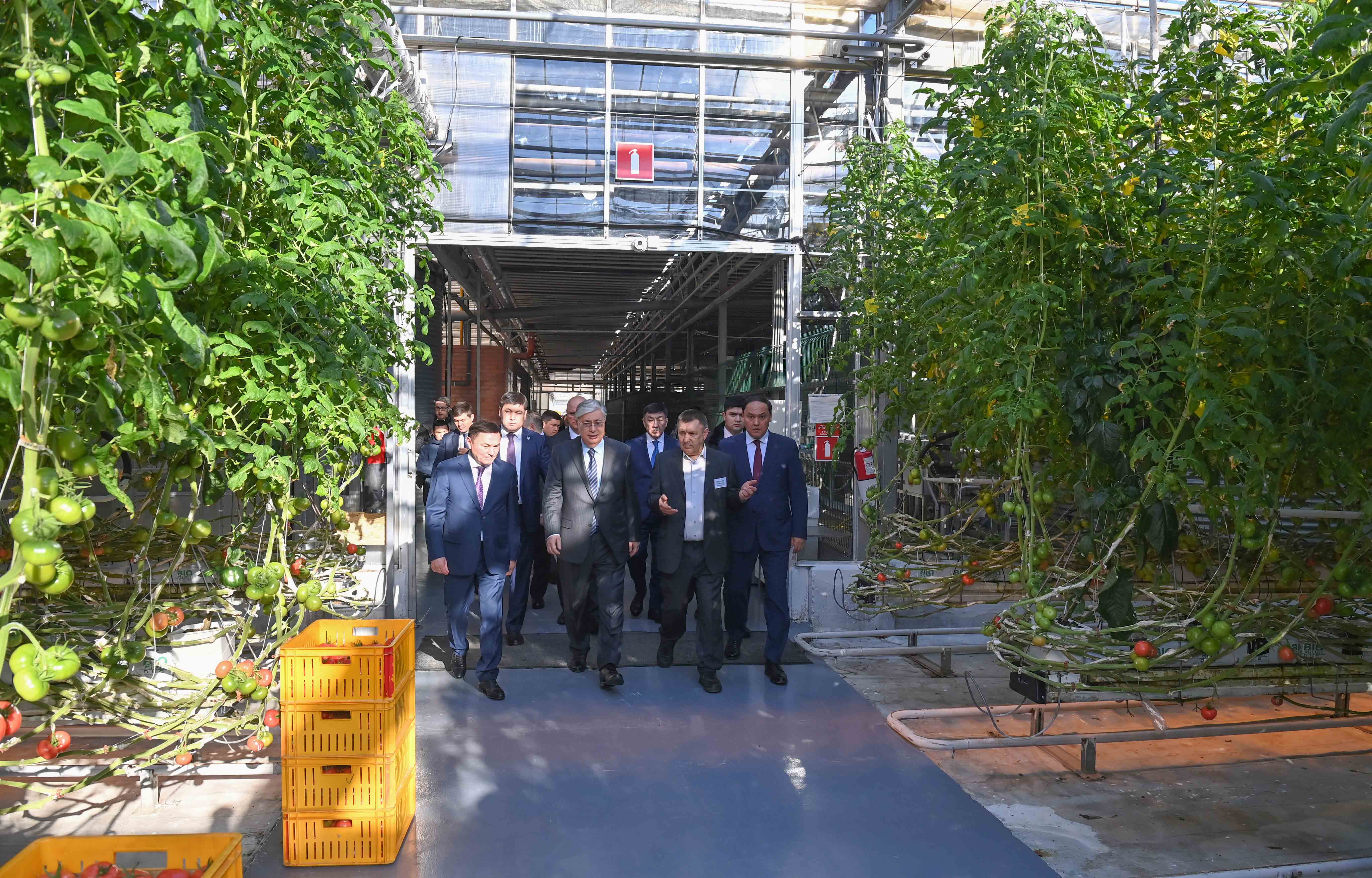 پرەزيدەنت ستەپنوگورسكتەگى وتاندىق جىلىجاي تەحنولوگيالارىنىڭ دامۋىمەن تانىستى