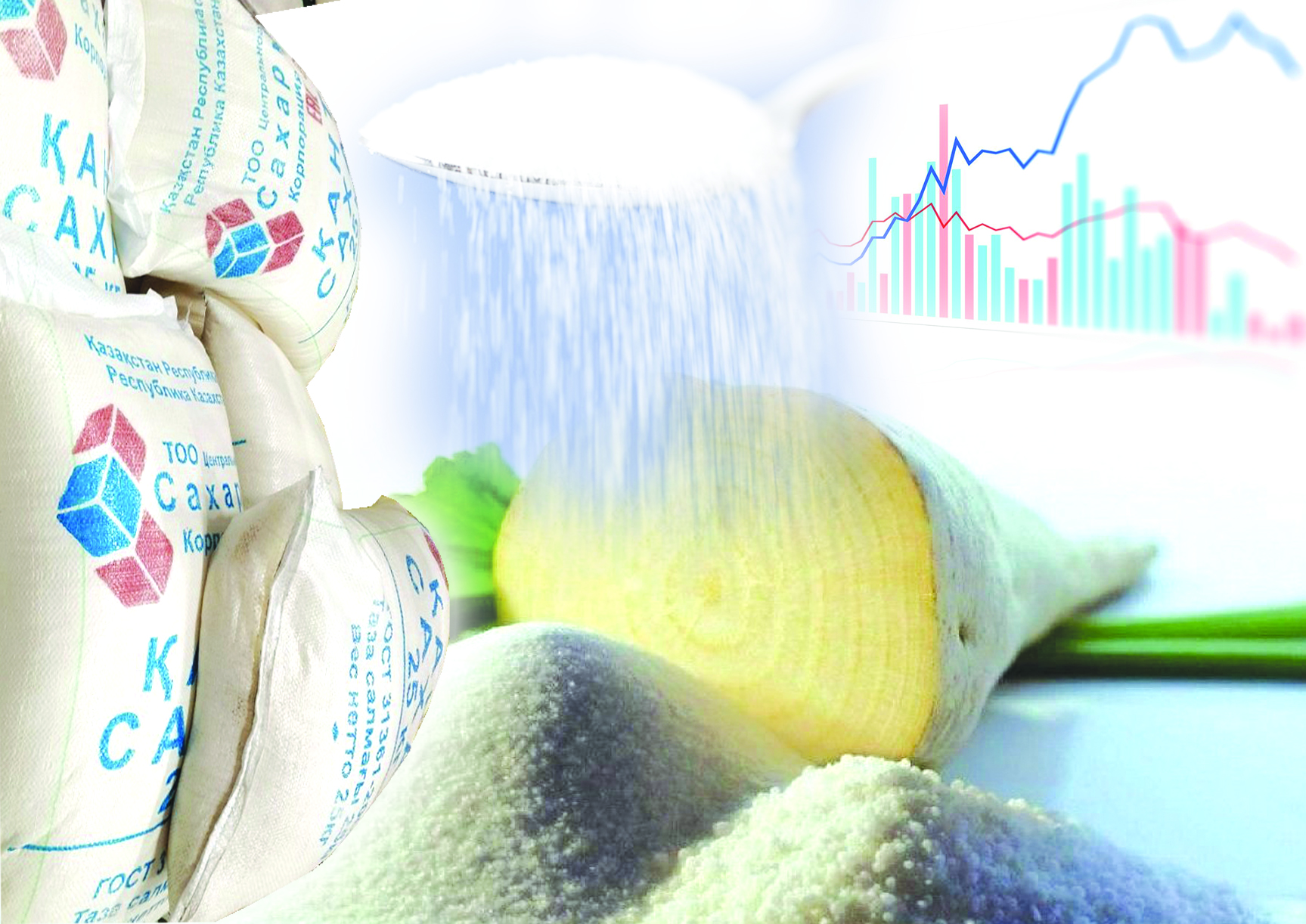 قانت تاپشىلىعى قالاي رەتتەلەدى؟