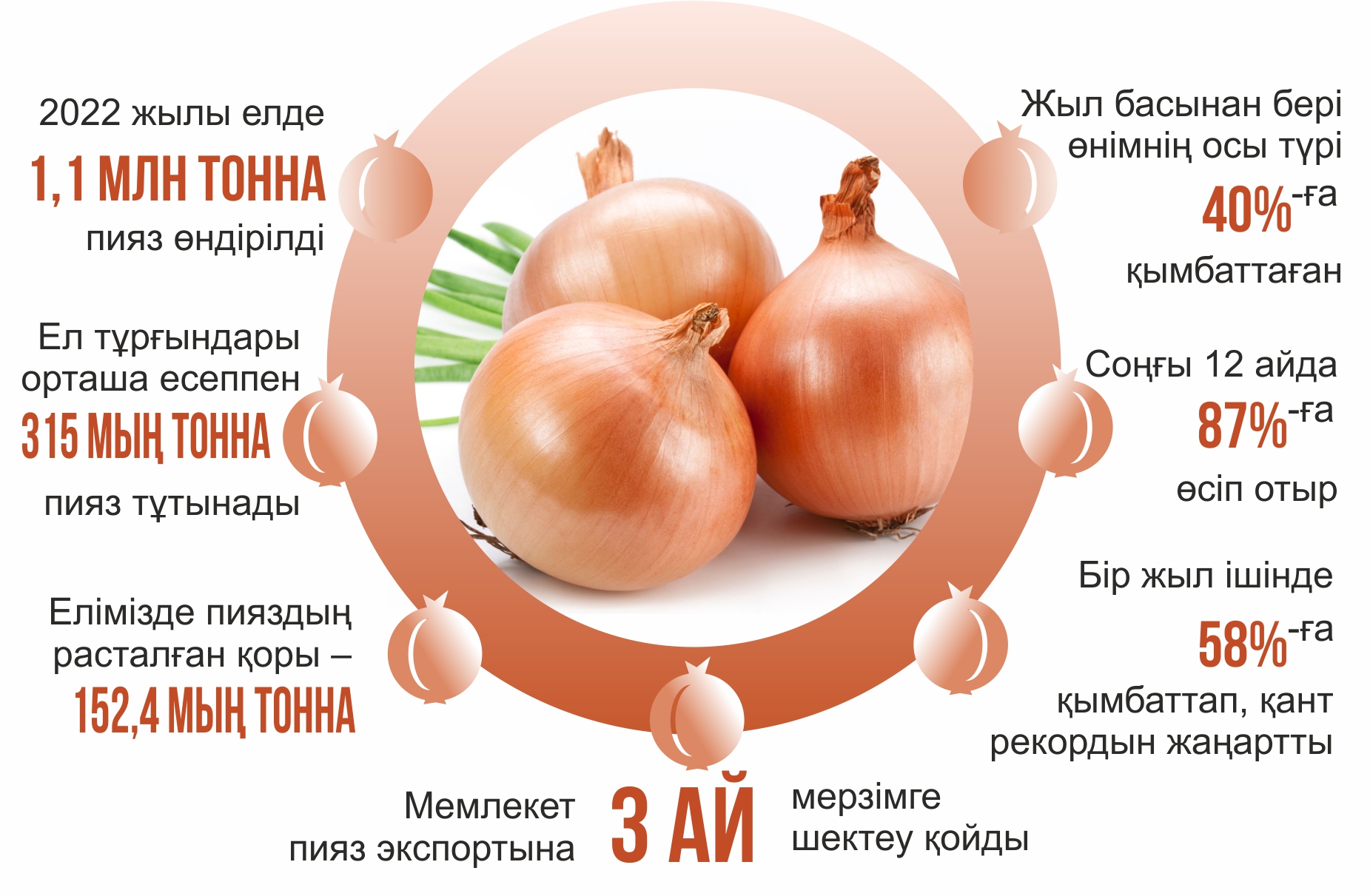 پياز باعاسى نەگە شارىقتادى؟