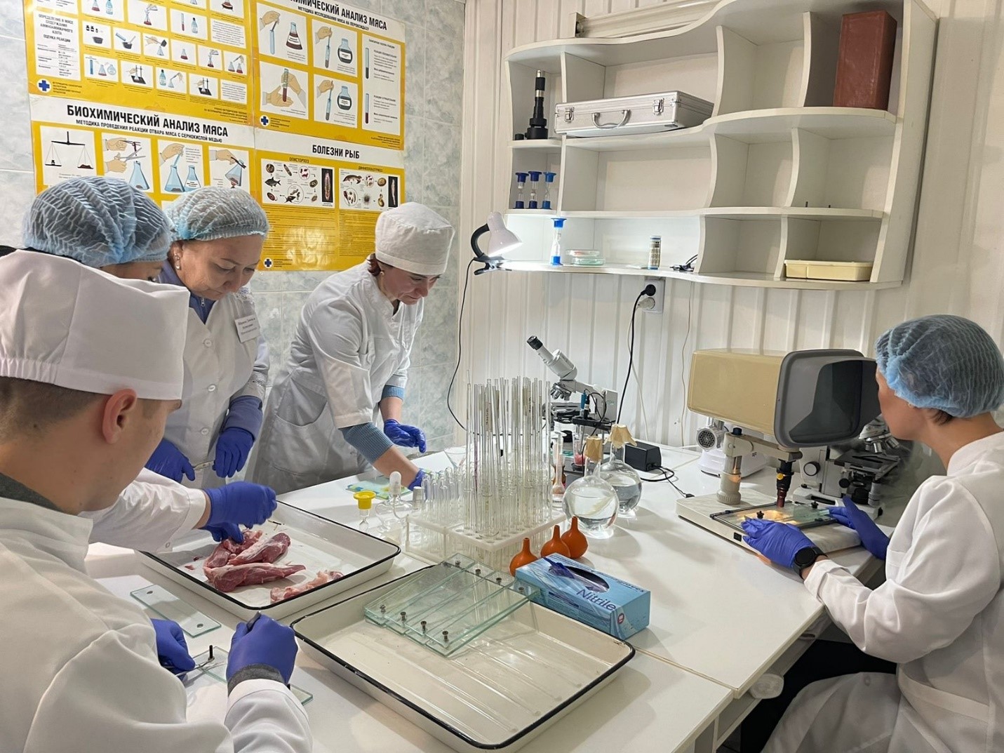 ساپالى ءونىم –  ساۋلىق كەپىلى