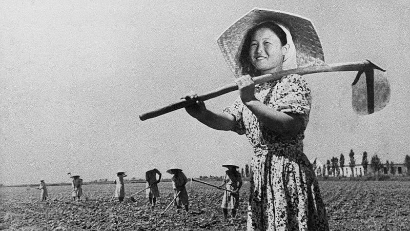 كورەيلەر تارتقان تاۋقىمەت