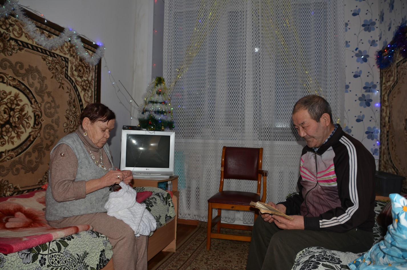 قارتتار ءۇيىنىڭ قامقورلىعى