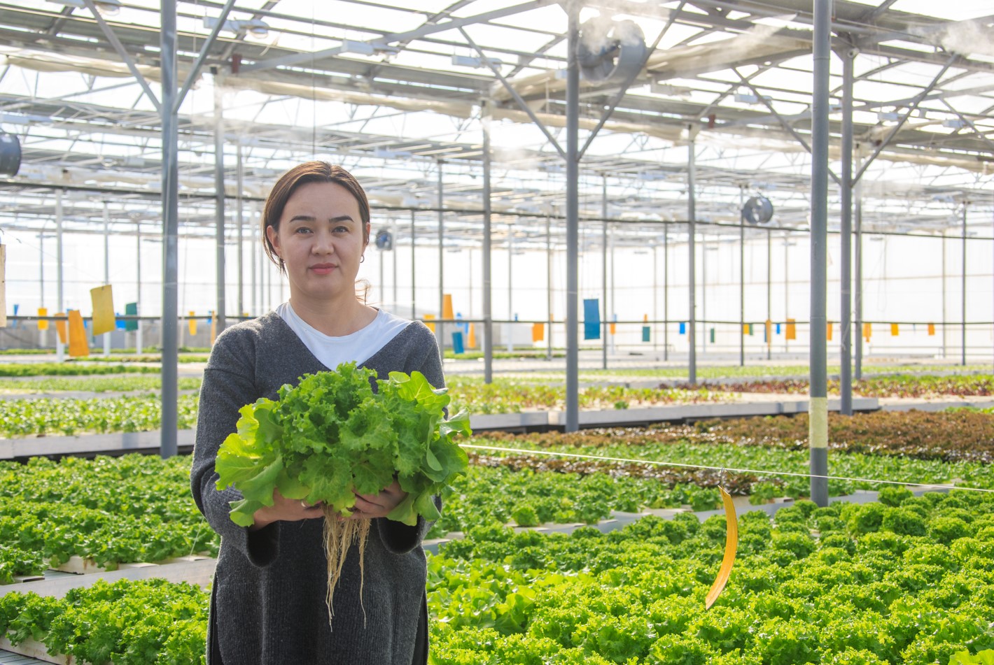 «Jetisy green»: كوك شوپتەن دە كوپ پايدا بار