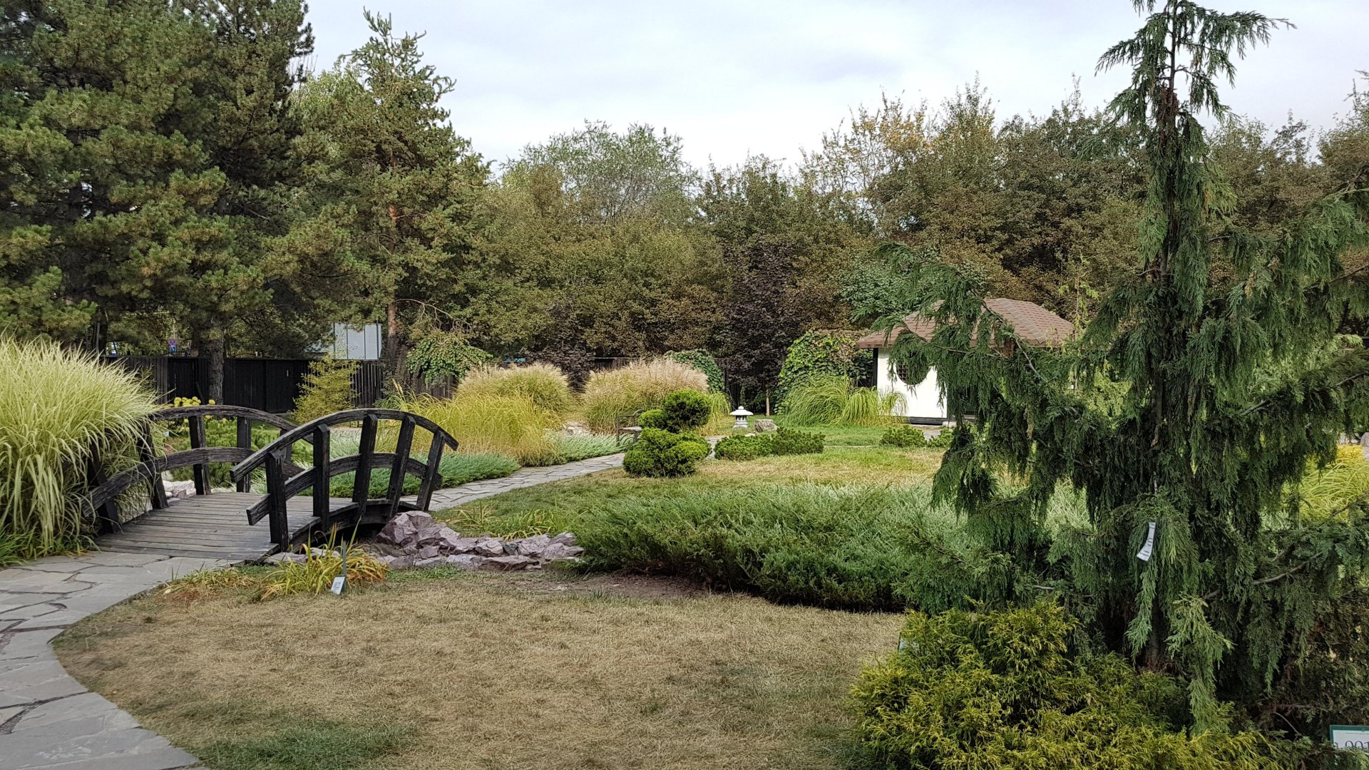 الماتىداعى بوتانيكالىق باققا كىرۋ قۇنى ارزاندادى