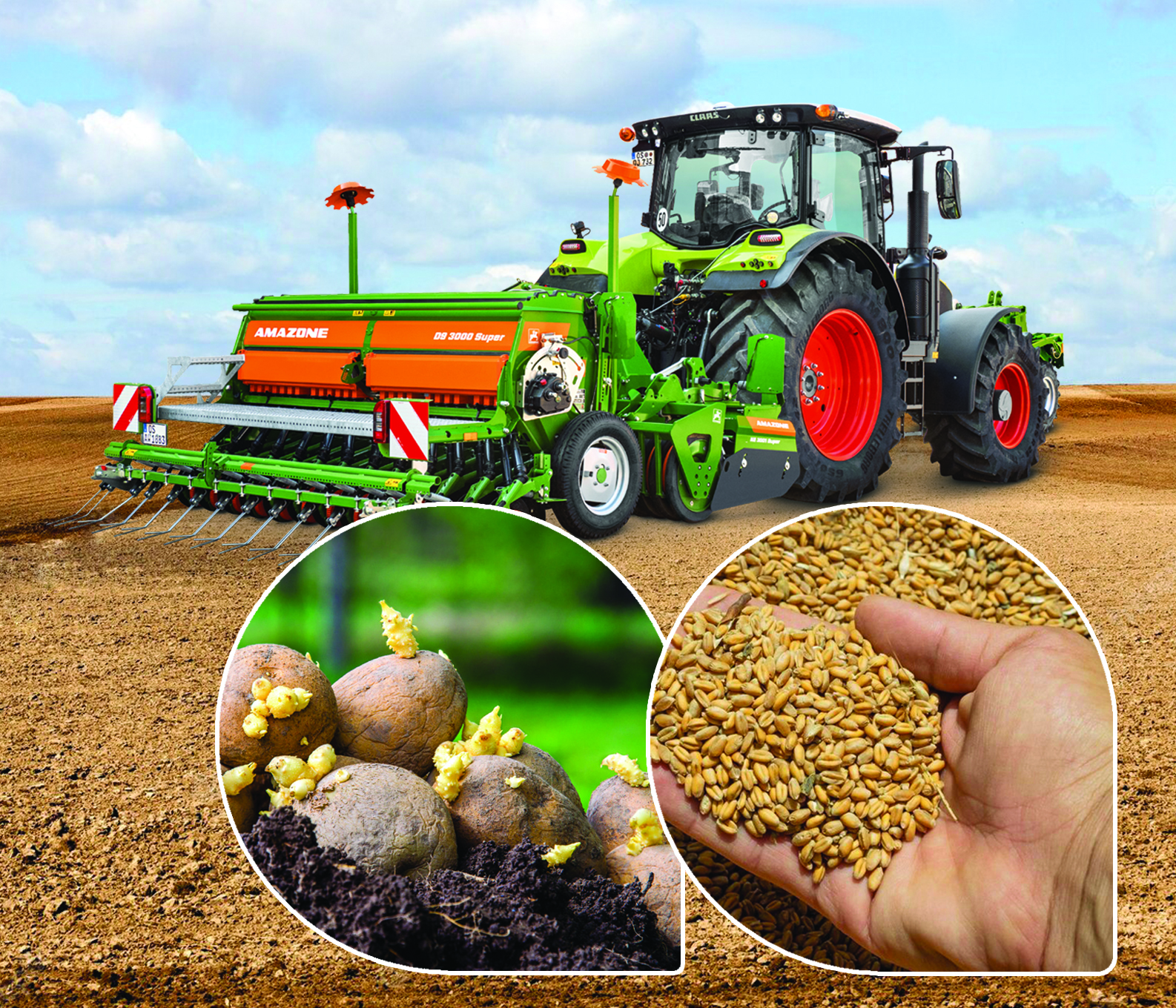 دالا جۇمىسىنا دايىندىق