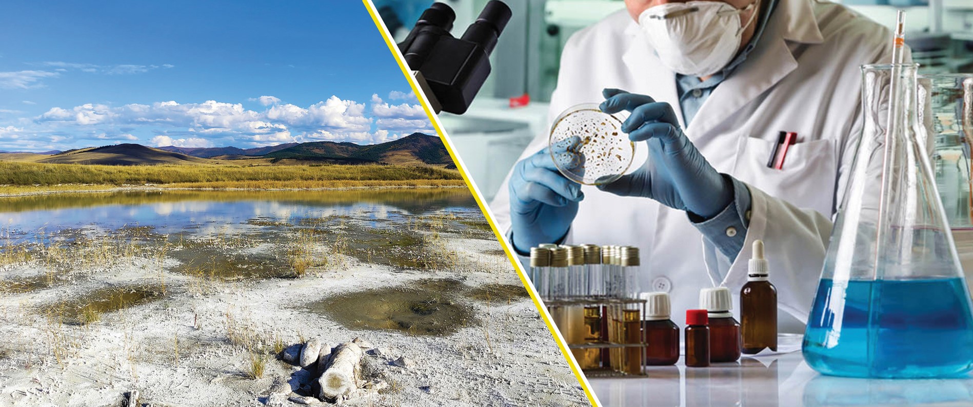 توپىراق قۇنارىن ەسەلەيتىن تەحنولوگيا