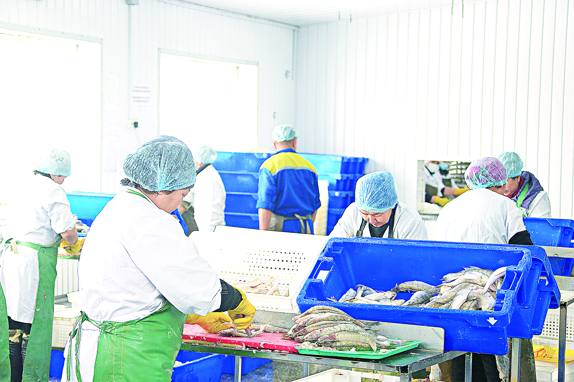 بالىق ونىمدەرىنىڭ ءباسى بيىك