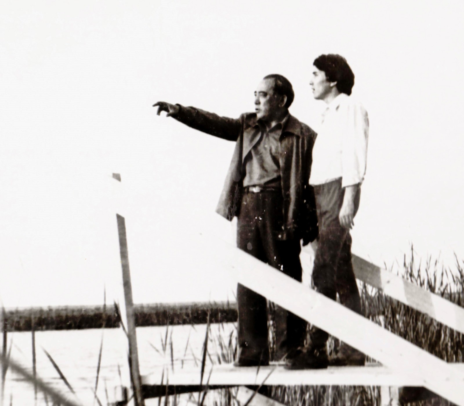 تەكتىنىڭ تۇياعى