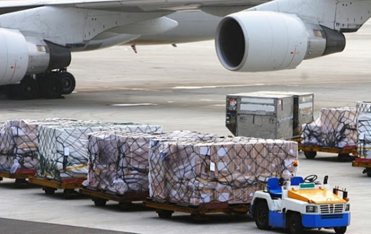 گۋمانيزم ءۇردىسى