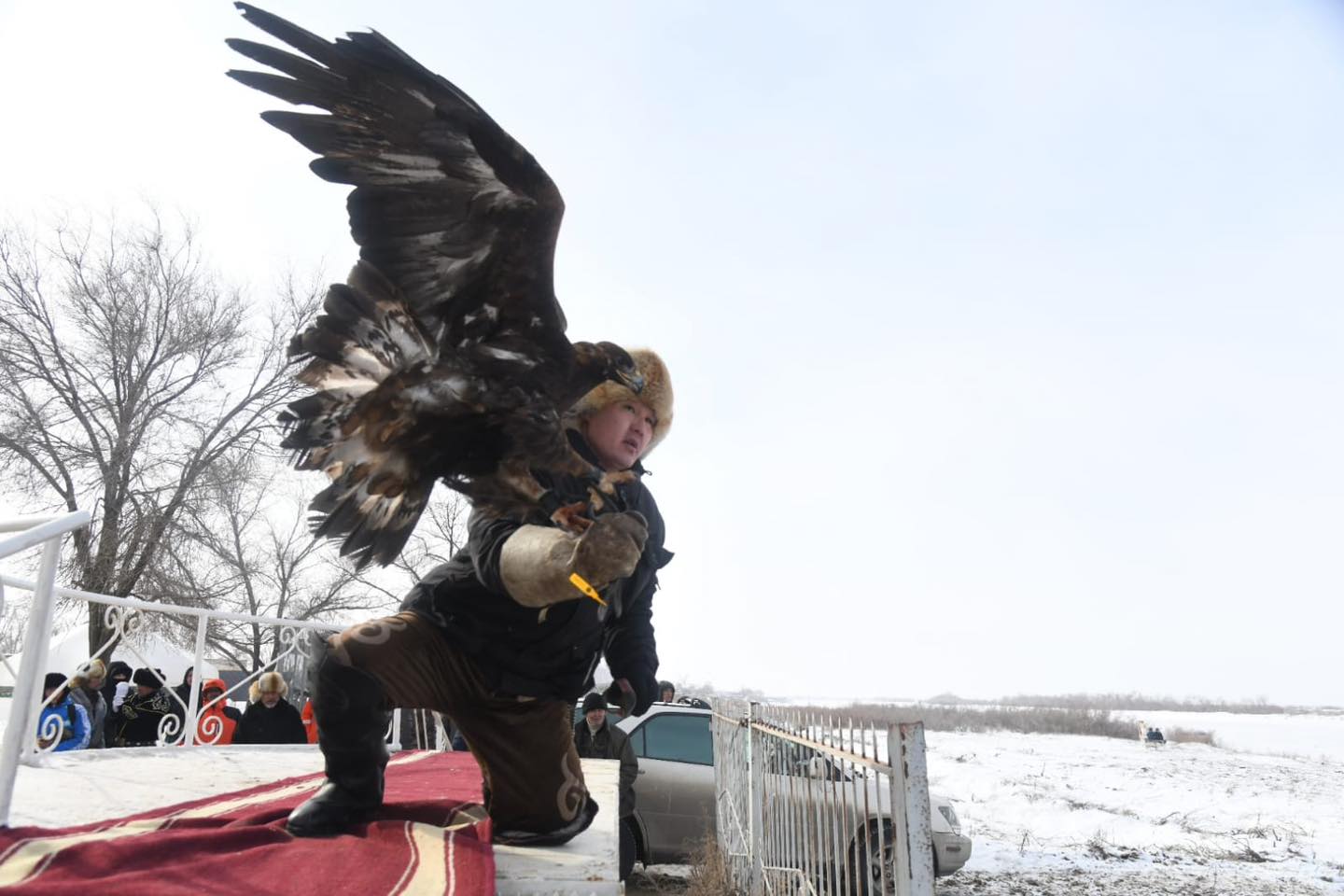 قانسوناردا بۇركىتشى شىعادى اڭعا...