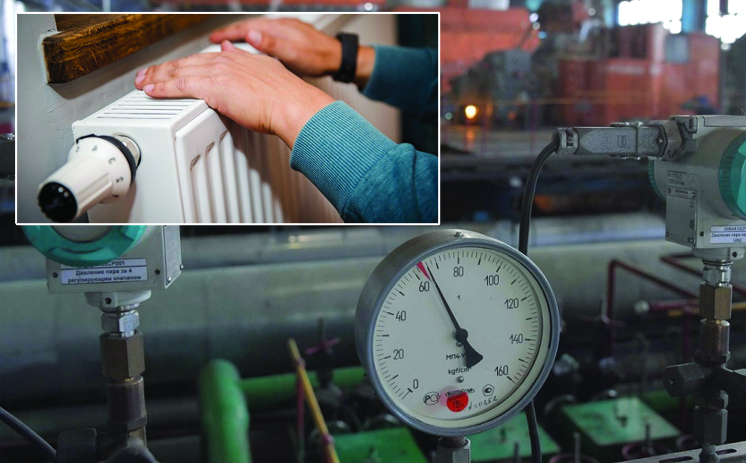 جىلۋمەن قامتۋدىڭ جاھاندىق تاجىريبەسى