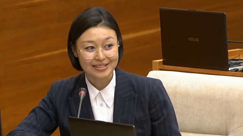 شارداراداعى جاعداي ءبىزدىڭ باقىلاۋىمىزدا - زۋلفيا سۇلەيمەنوۆا