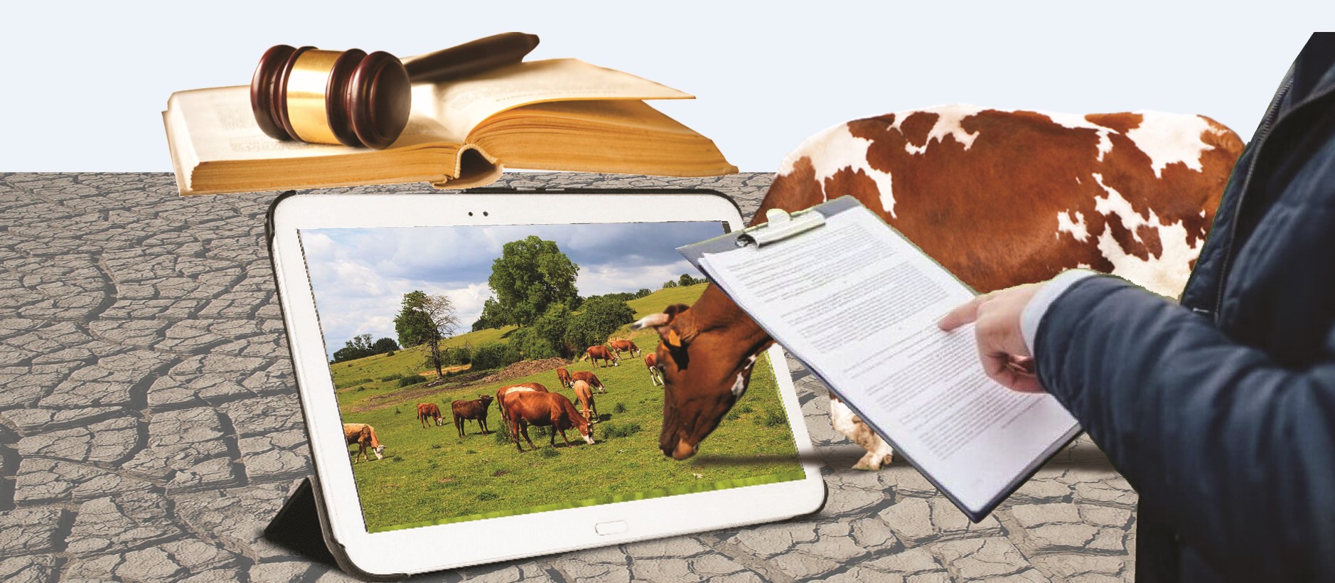 «قولجەتىمسىز جايىلىم...» اكىمدەر ستاتيستيكانىڭ بۇرمالانۋىنا مۇددەلى مە؟